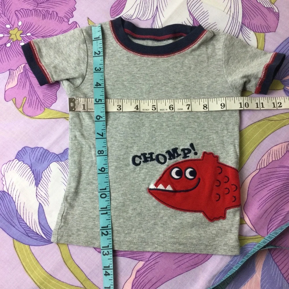 EUC Carter’s Toddlers 2 Pieces St